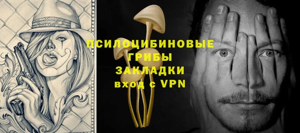 дживик Абаза