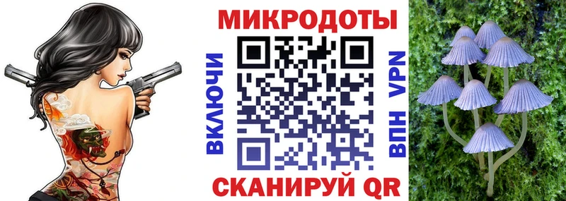 магазин продажи наркотиков  Ангарск  Псилоцибиновые грибы MAGIC MUSHROOMS 