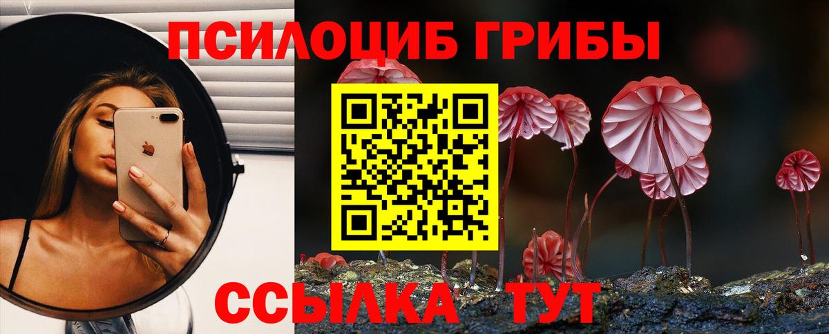Псилоцибиновые грибы Magic Shrooms  Псилоцибиновые грибы Cubensis  Ангарск  Вход с VPN 